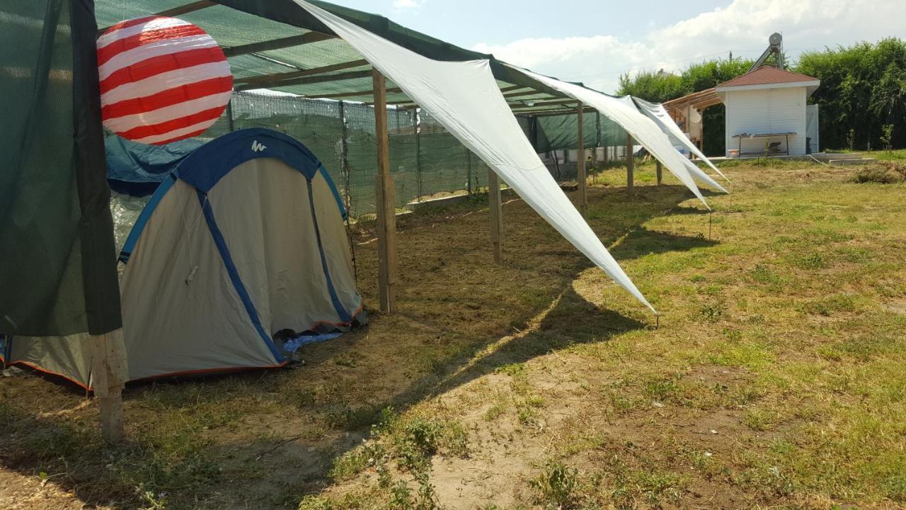 Camping Robinson Vama Veche酒店 外观 照片